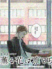 韩国旅行综艺济州岛之夏剧照